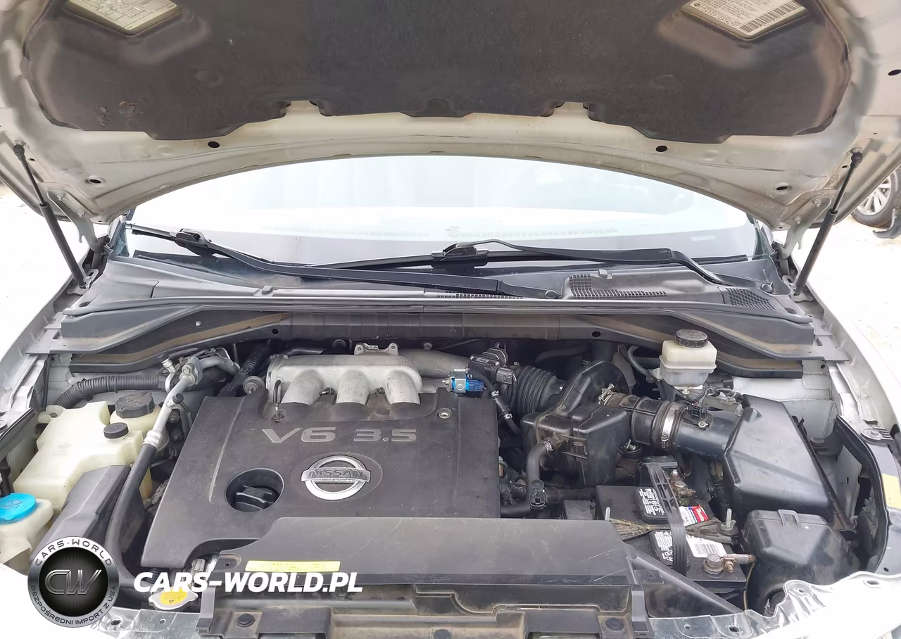 2003 Nissan Murano Se VIN:JN8AZ08W43W233694 - 10