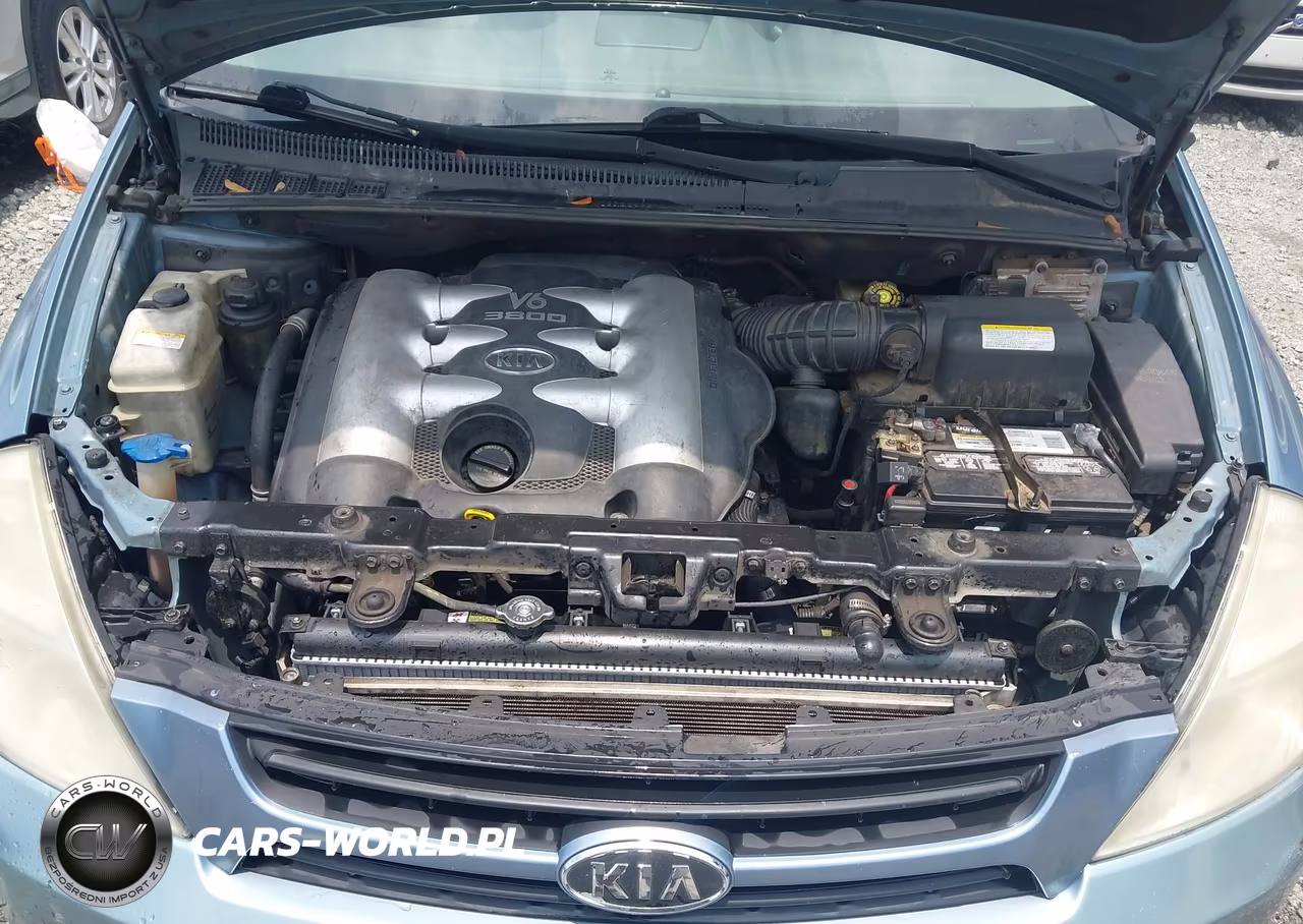 2006 Kia Sedona Ex-Lx VIN:KNDMB233966098447 - 10