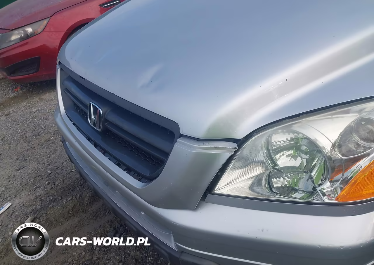 2005 Honda Pilot Ex VIN:5FNYF18485B005261 - 6