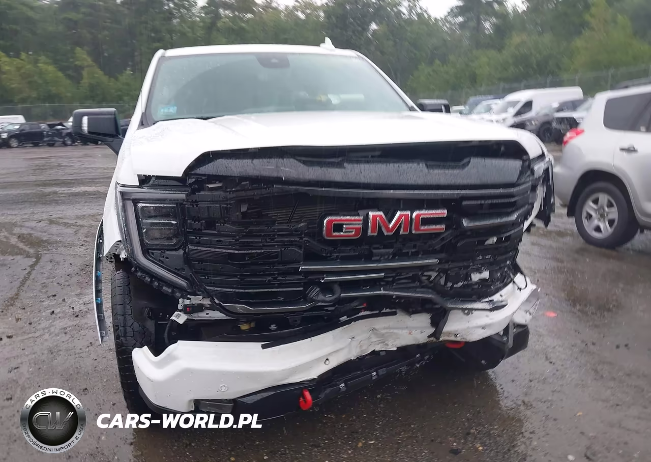 2025 GMC Sierra 1500 4Wd Short Box At4 VIN:1GTUUEE81SZ293116 - 12
