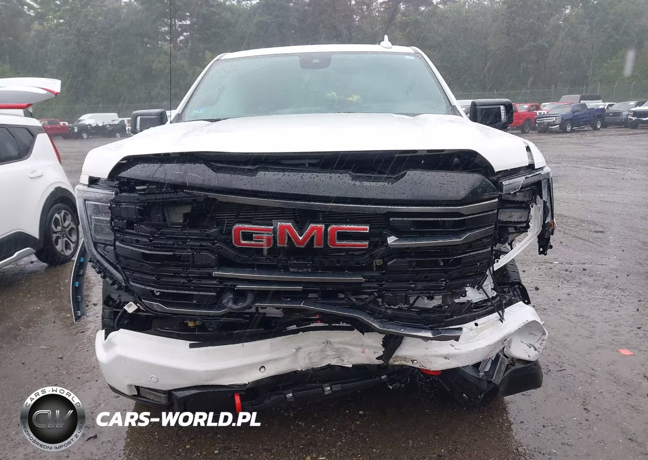 2025 GMC Sierra 1500 4Wd Short Box At4 VIN:1GTUUEE81SZ293116 - 13