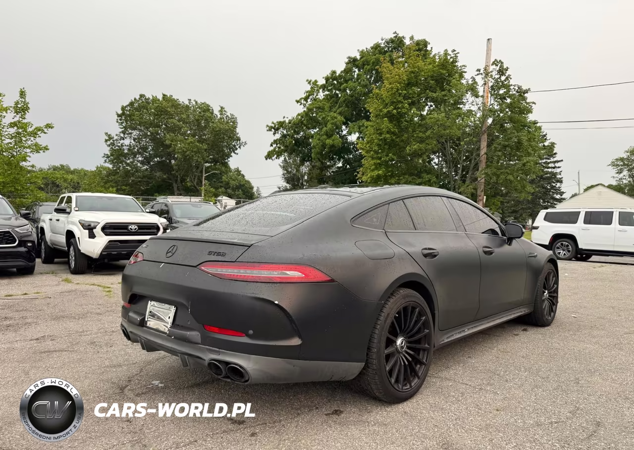 2019 Merz Amg Gt 53 VIN:WDD7X6BB9KA008192 - 4