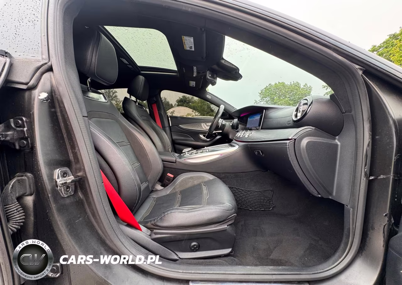 2019 Merz Amg Gt 53 VIN:WDD7X6BB9KA008192 - 5