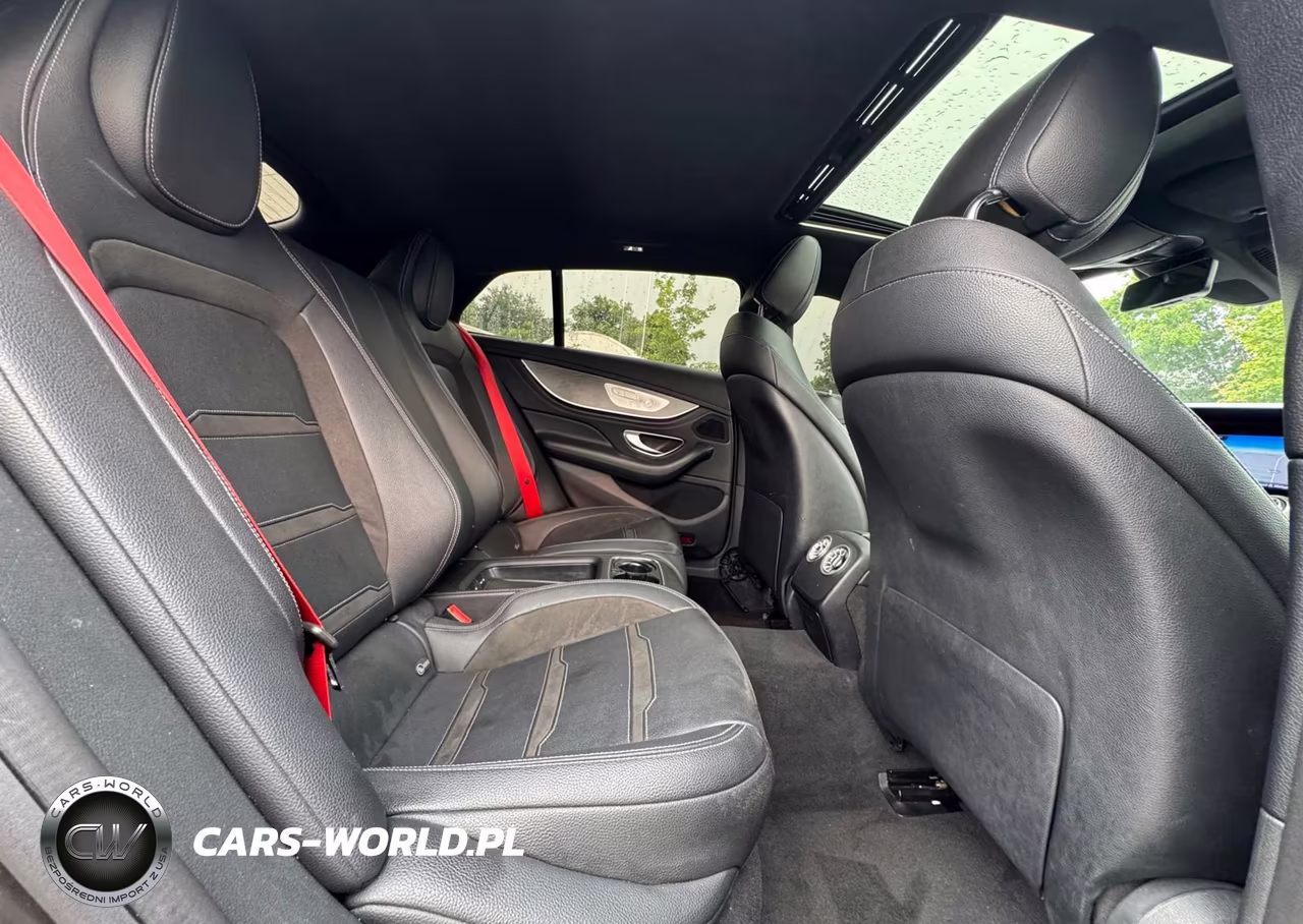 2019 Merz Amg Gt 53 VIN:WDD7X6BB9KA008192 - 6