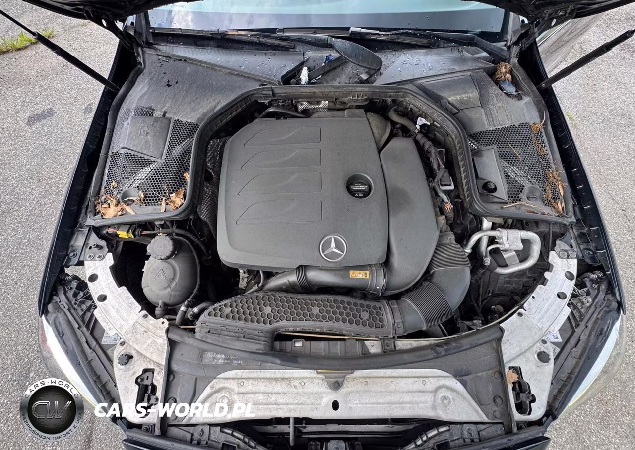 2019 Mercedes-Benz C 300 4Matic VIN:55SWF8EB1KU307858 - 10