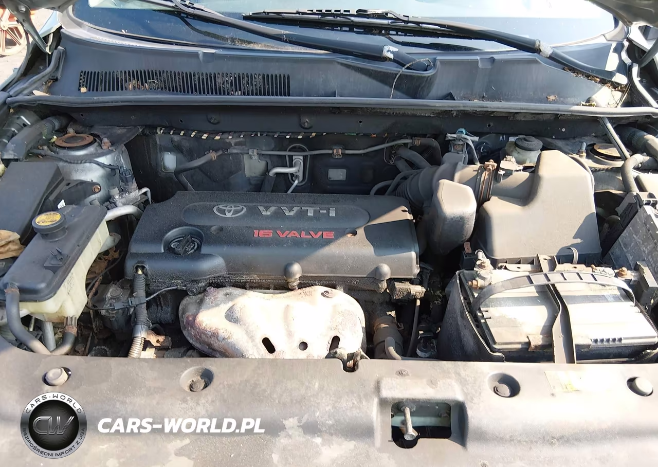 2006 Toyota Rav4 VIN:JTMBD33V865007117 - 10