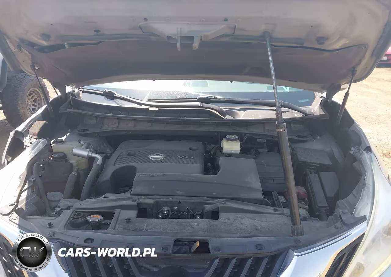 2017 Nissan Murano Platinum-S-Sl-Sv VIN:5N1AZ2MH5HN105956 - 10