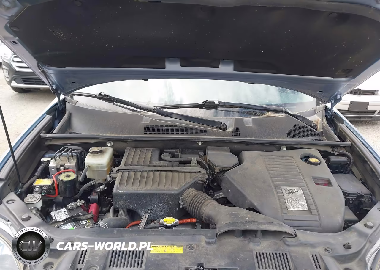 2010 Toyota Highlander Hybrid Limited V6 VIN:JTEJW3EH2A2045316 - 10