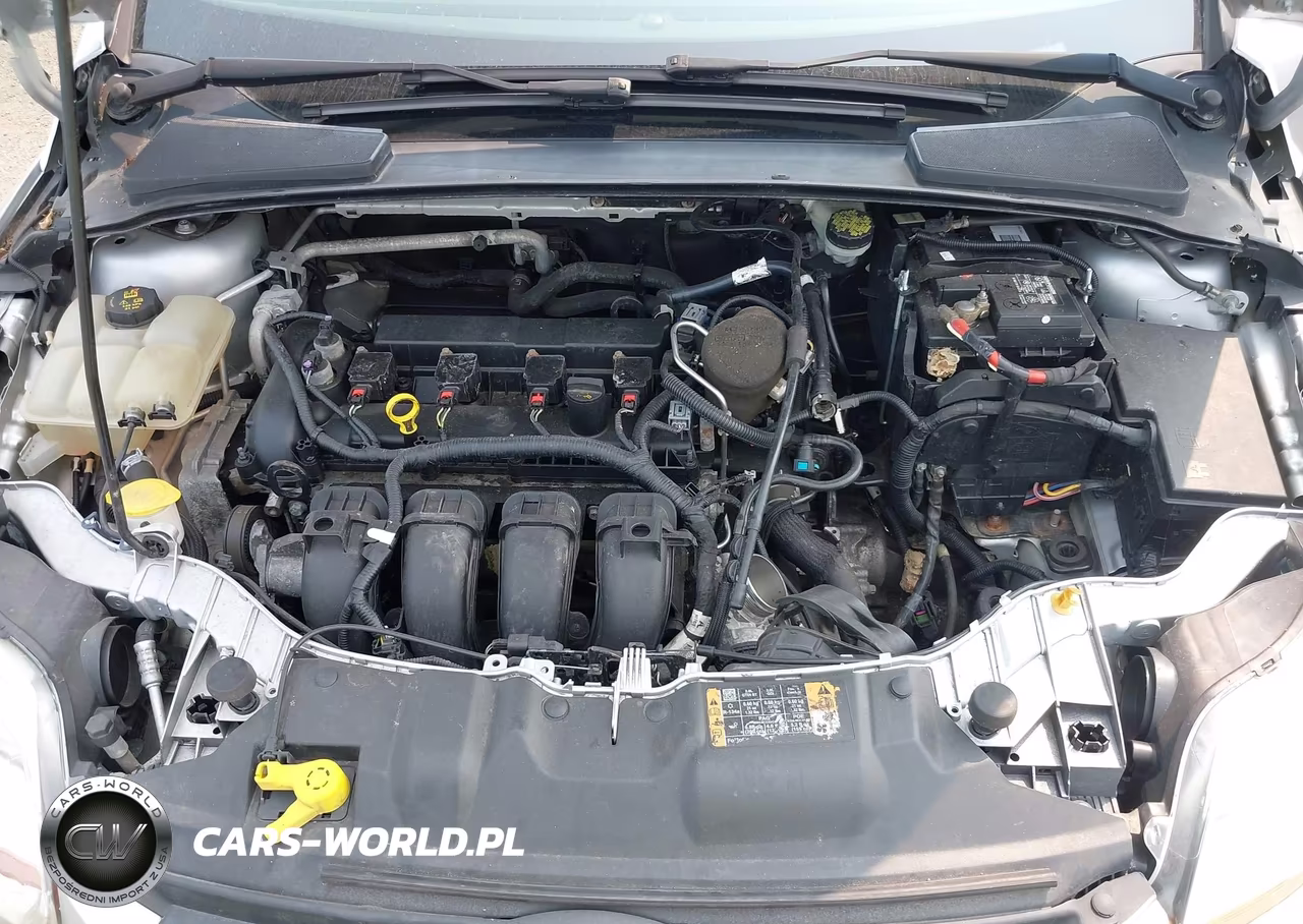 2014 Ford Focus Se VIN:1FADP3K22EL420030 - 10