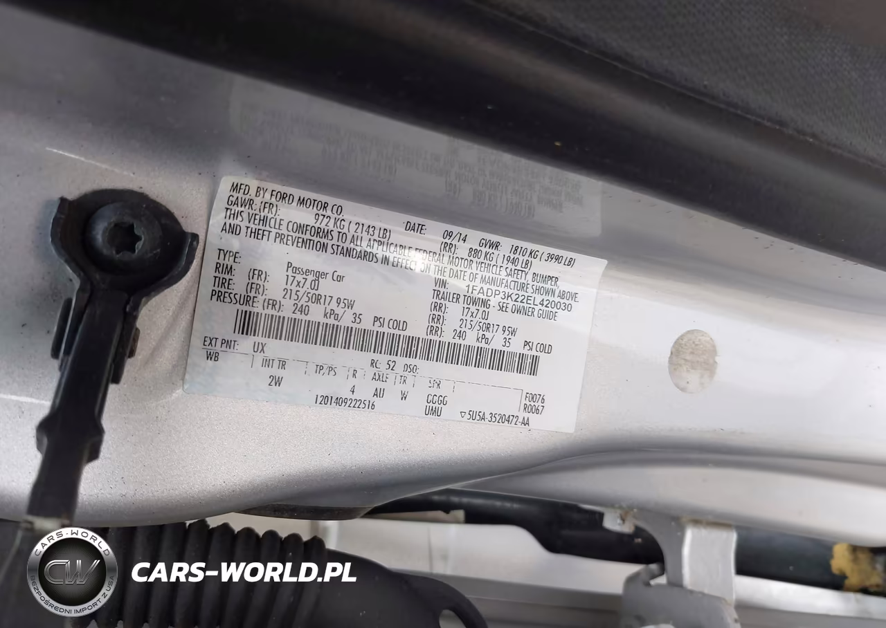 2014 Ford Focus Se VIN:1FADP3K22EL420030 - 9