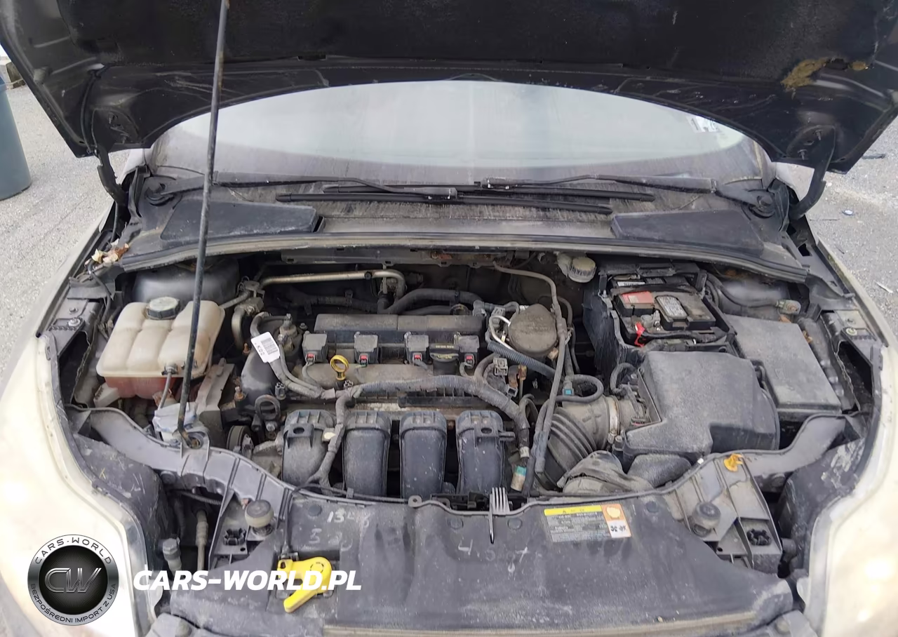 2013 Ford Focus Se VIN:1FADP3K21DL146298 - 10