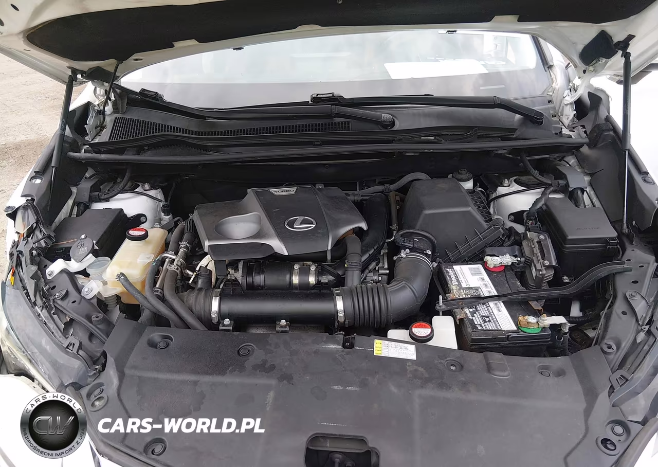 2016 Lexus Nx 200T VIN:JTJBARBZ9G2054799 - 10