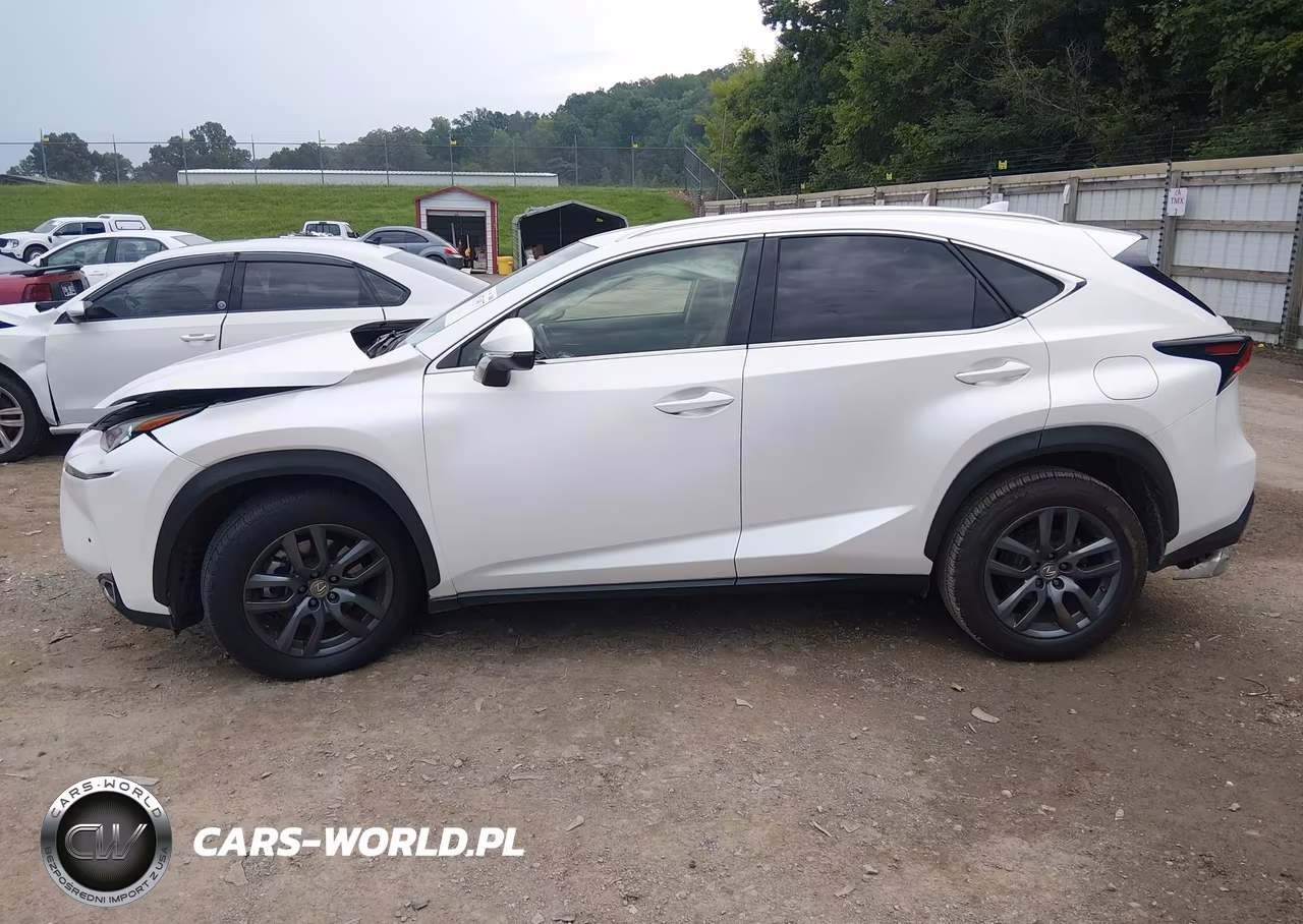 2016 Lexus Nx 200T VIN:JTJBARBZ9G2054799 - 13