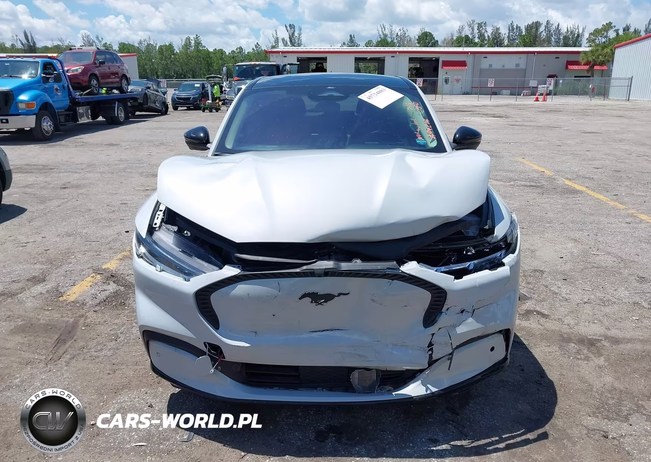 2021 Ford Mustang Mach-E California Route 1 VIN:3FMTK2R71MMA44204 - 12