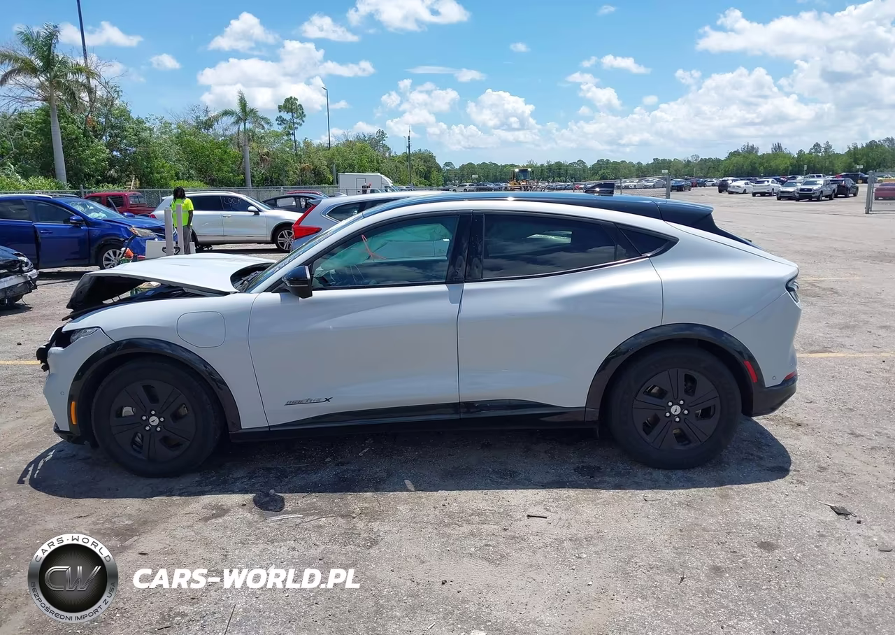 2021 Ford Mustang Mach-E California Route 1 VIN:3FMTK2R71MMA44204 - 14