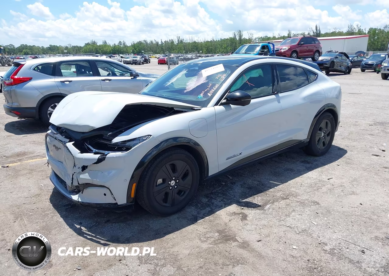 2021 Ford Mustang Mach-E California Route 1 VIN:3FMTK2R71MMA44204 - 2