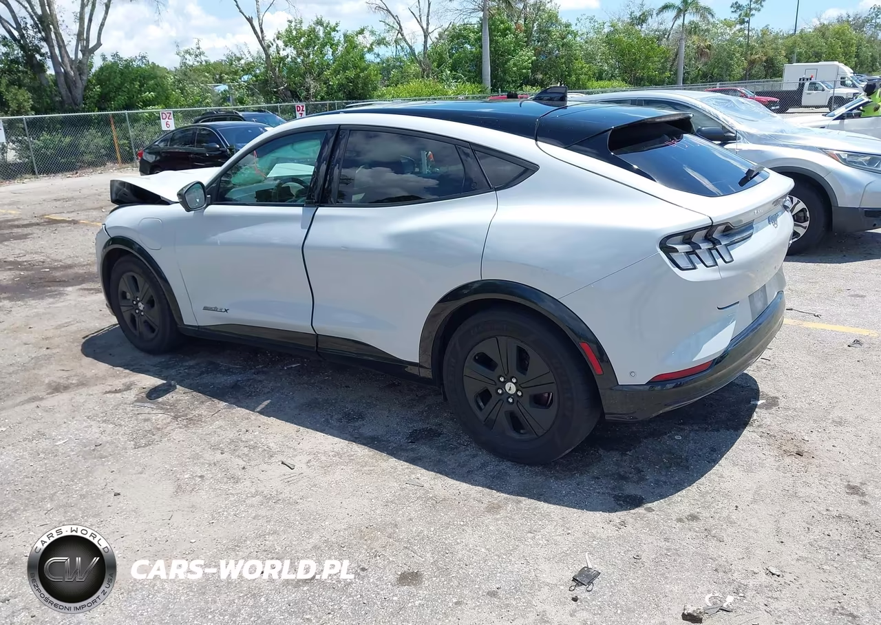 2021 Ford Mustang Mach-E California Route 1 VIN:3FMTK2R71MMA44204 - 3