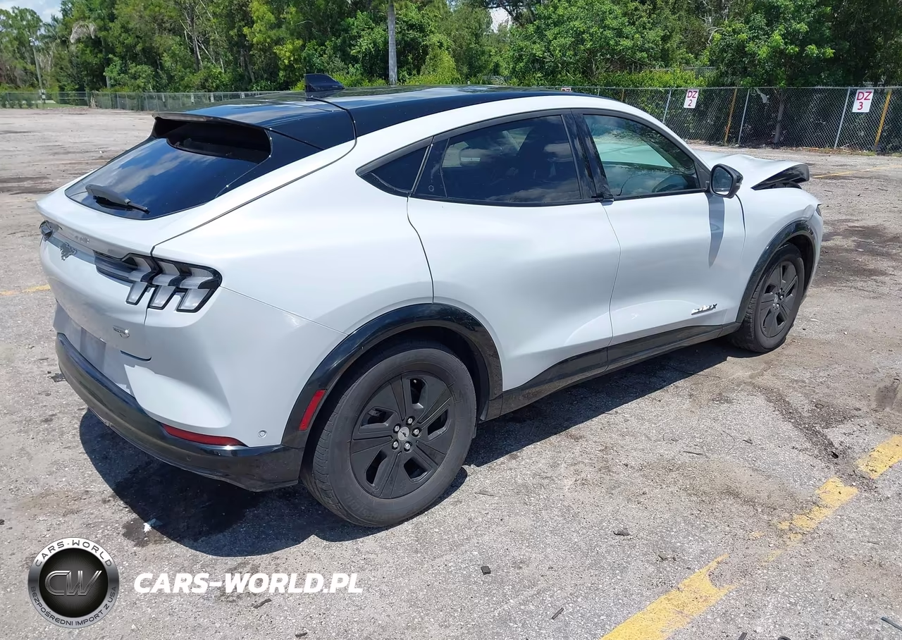 2021 Ford Mustang Mach-E California Route 1 VIN:3FMTK2R71MMA44204 - 4