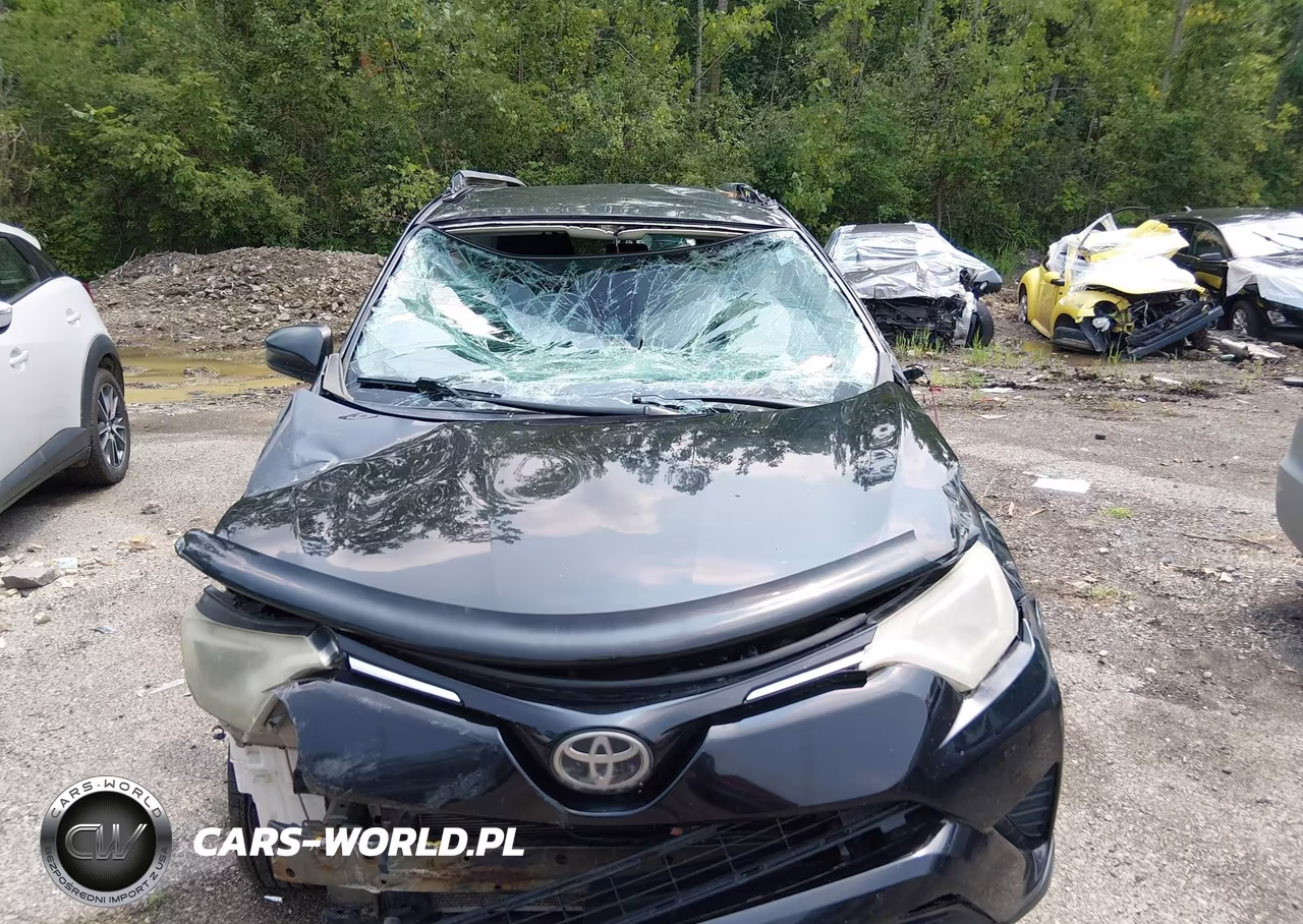 2017 Toyota Rav4 Le VIN:2T3BFREV8HW643560 - 12