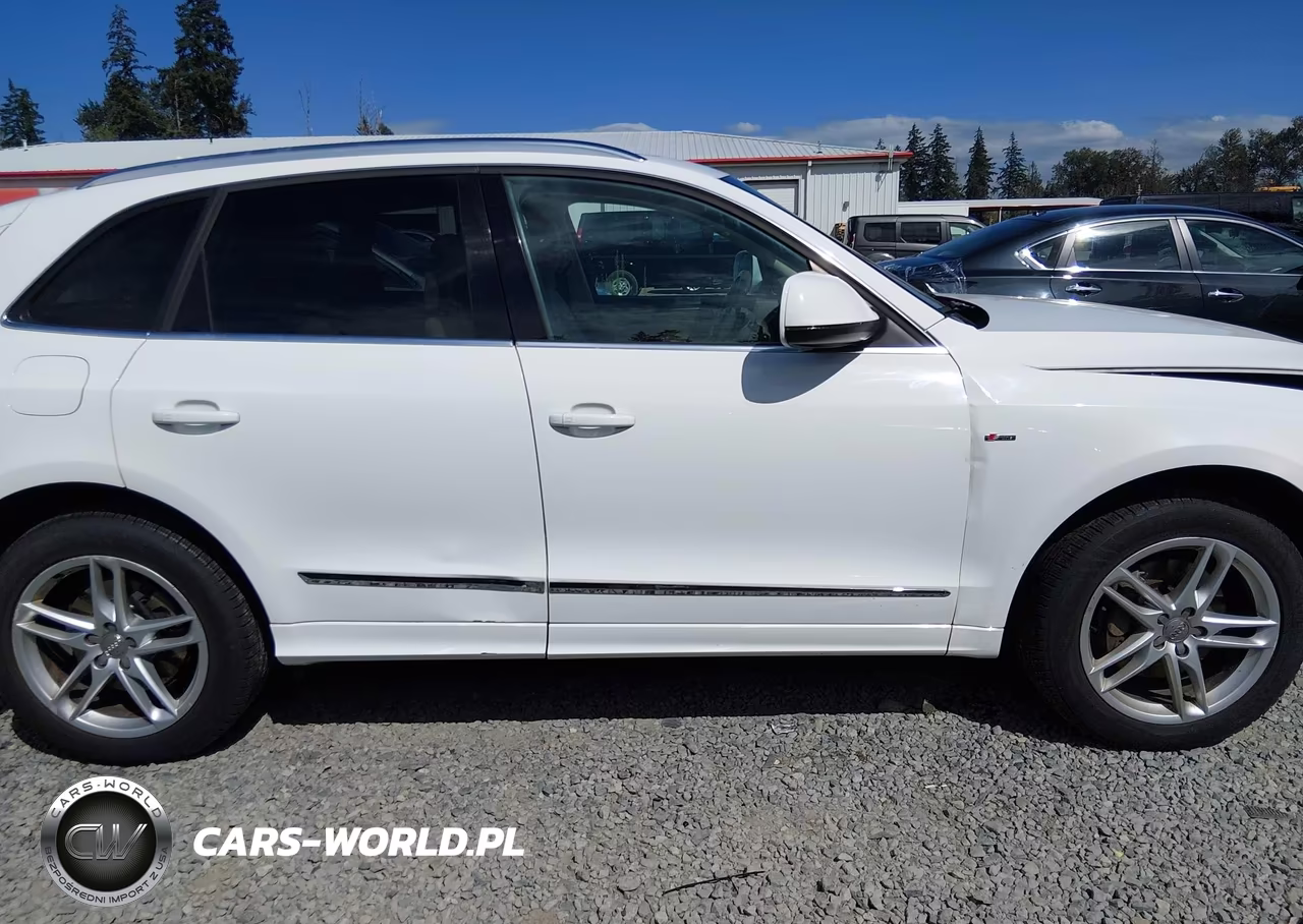 2013 Audi Q5 3.0T Premium Plus VIN:WA1DGAFP1DA032277 - 13