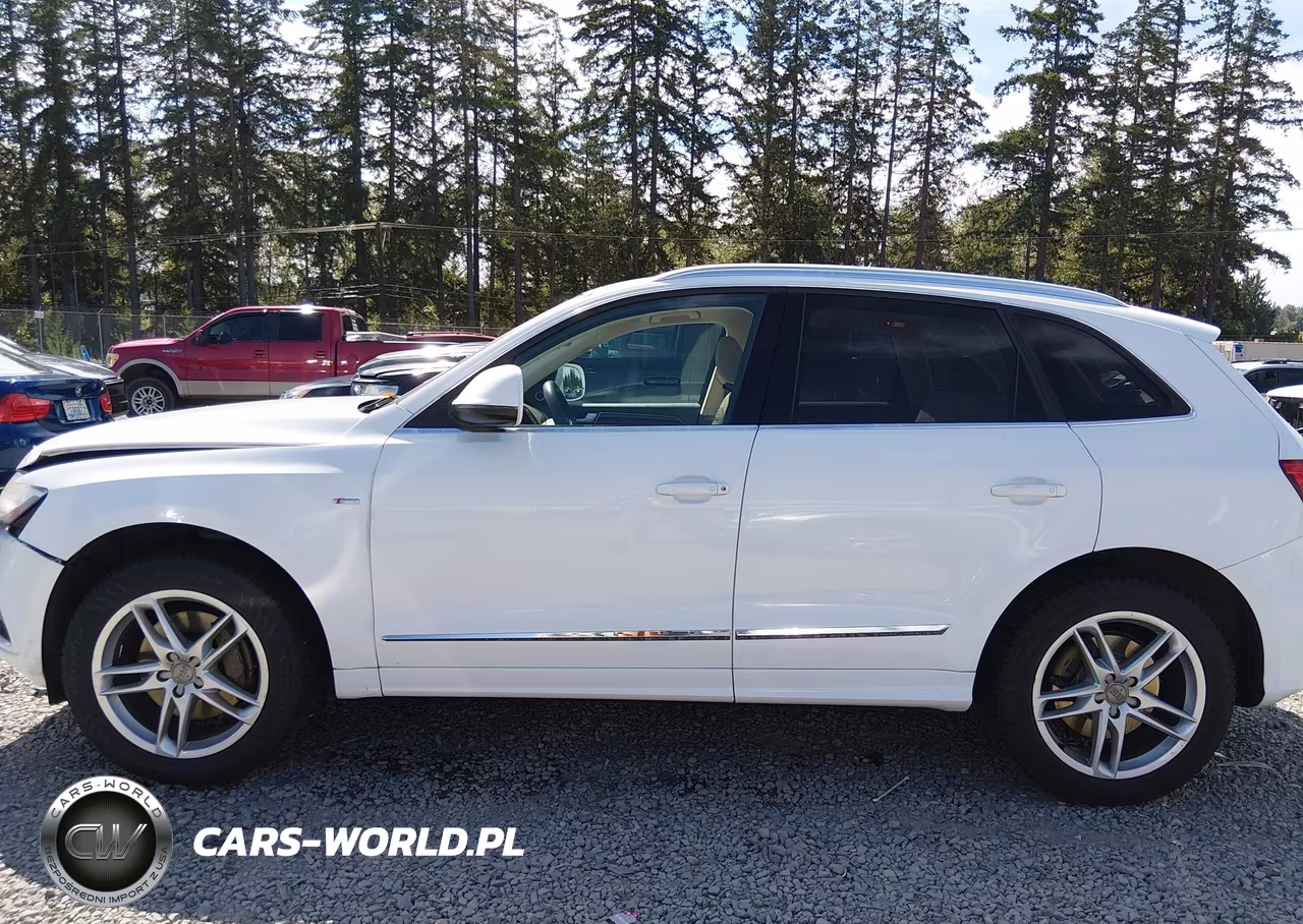 2013 Audi Q5 3.0T Premium Plus VIN:WA1DGAFP1DA032277 - 14