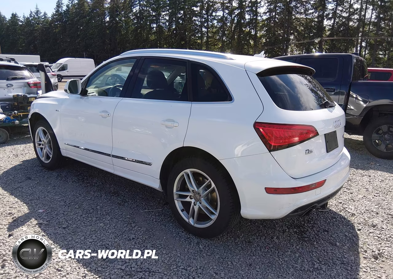 2013 Audi Q5 3.0T Premium Plus VIN:WA1DGAFP1DA032277 - 3