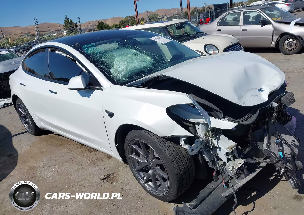 2022 Tesla Model 3 Rear-Wheel Drive