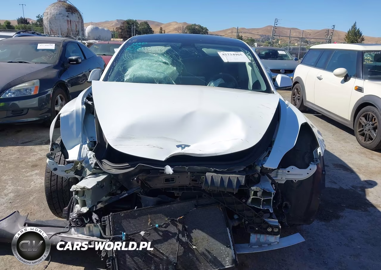 2022 Tesla Model 3 Rear-Wheel Drive VIN:5YJ3E1EA6NF337190 - 12