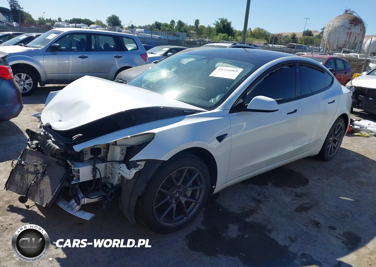 2022 Tesla Model 3 Rear-Wheel Drive VIN:5YJ3E1EA6NF337190 - 2