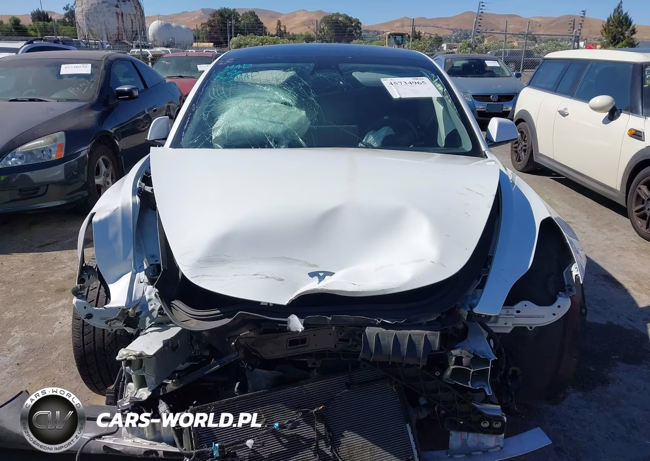 2022 Tesla Model 3 Rear-Wheel Drive VIN:5YJ3E1EA6NF337190 - 6