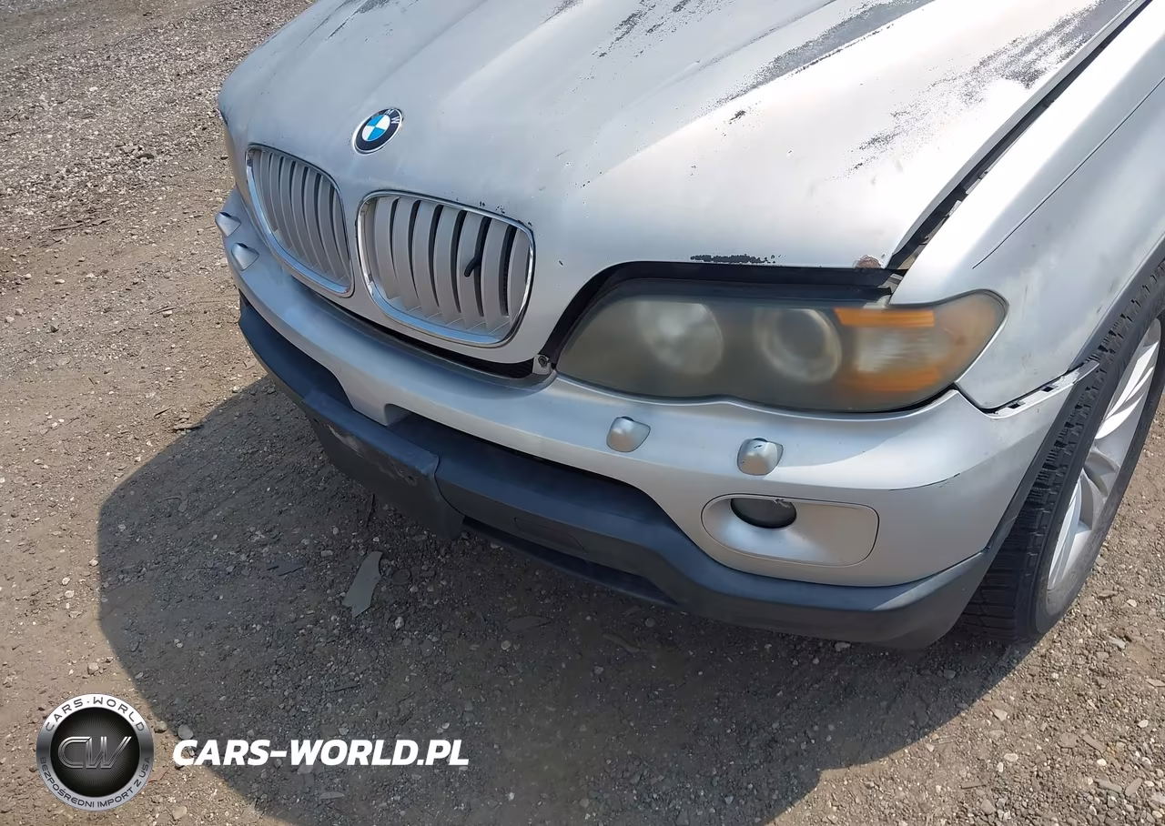 2004 BMW X5 4.4I VIN:5UXFB53544LV09021 - 6