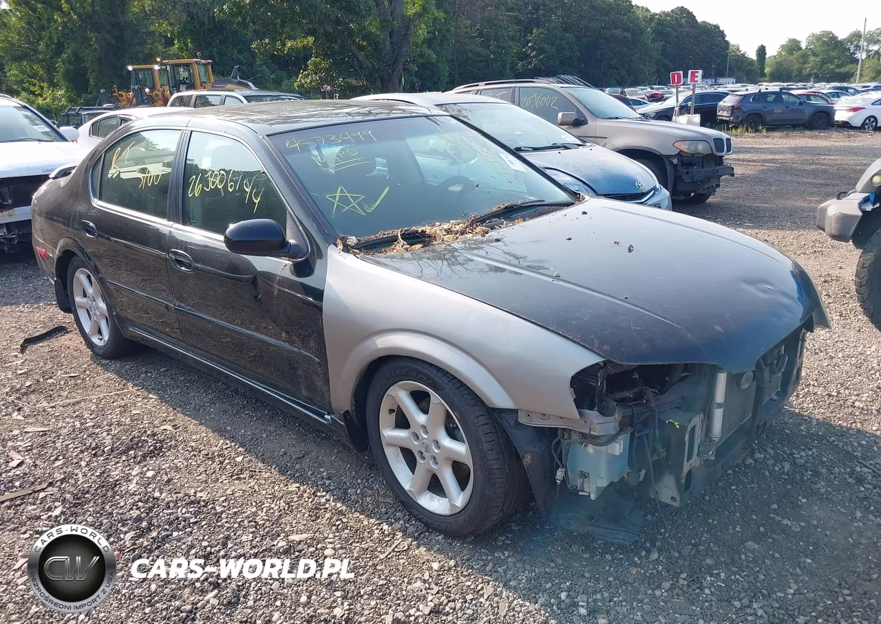 2002 Nissan Maxima Se