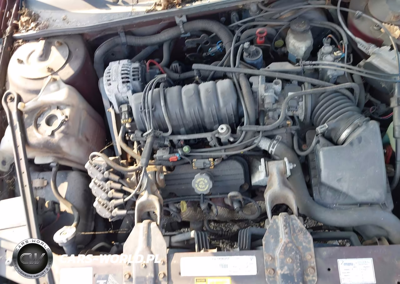 1999 Chevrolet Lumina Ltz VIN:2G1WN52K0X9237698 - 10