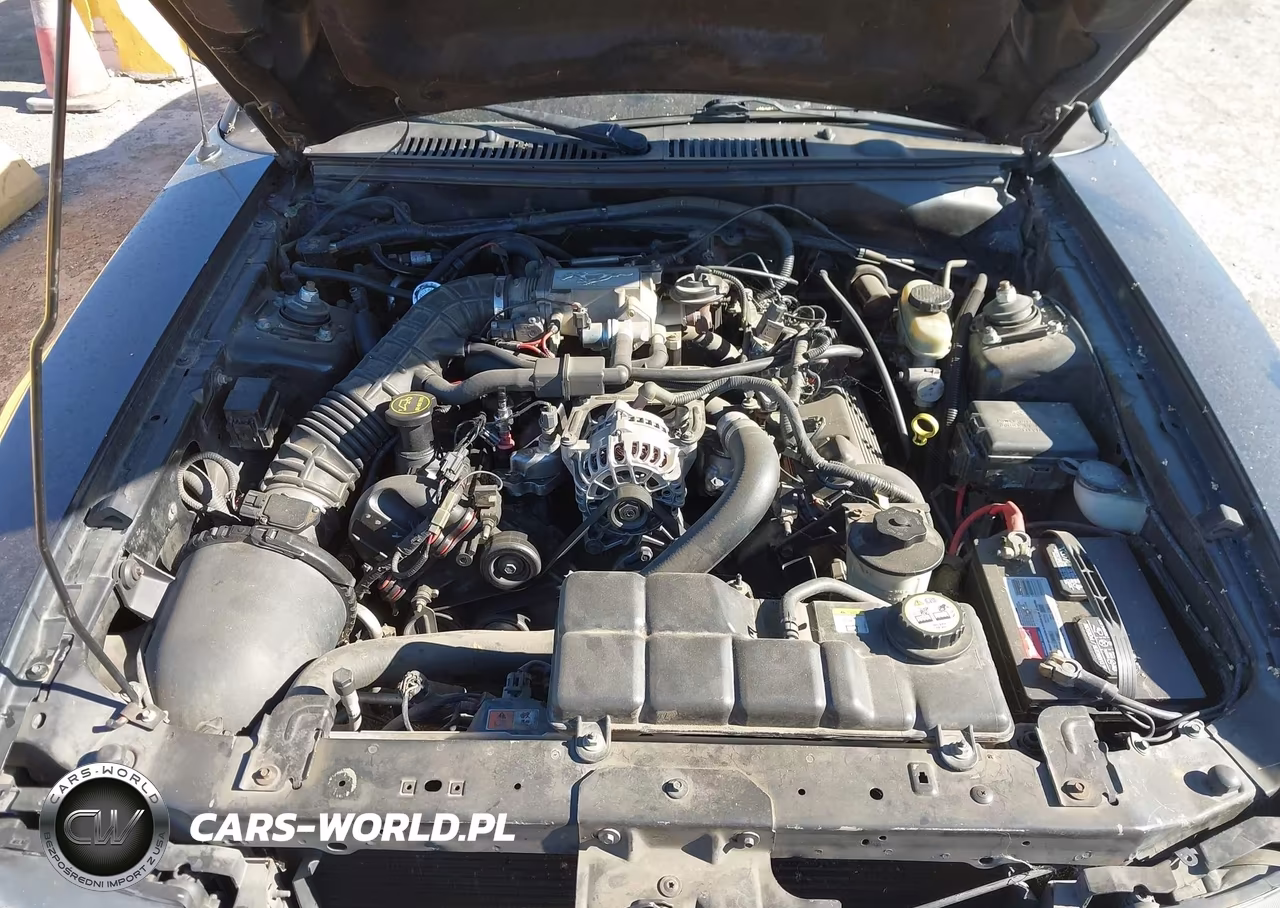 2003 Ford Mustang Gt VIN:1FAFP45X53F318223 - 10