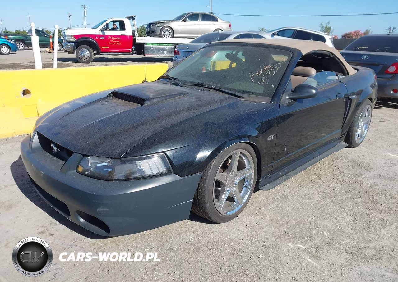 2003 Ford Mustang Gt VIN:1FAFP45X53F318223 - 2