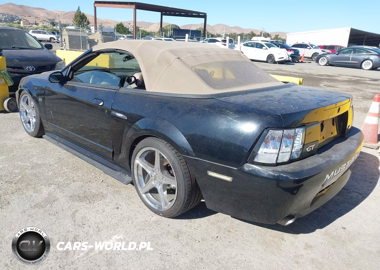 2003 Ford Mustang Gt VIN:1FAFP45X53F318223 - 3