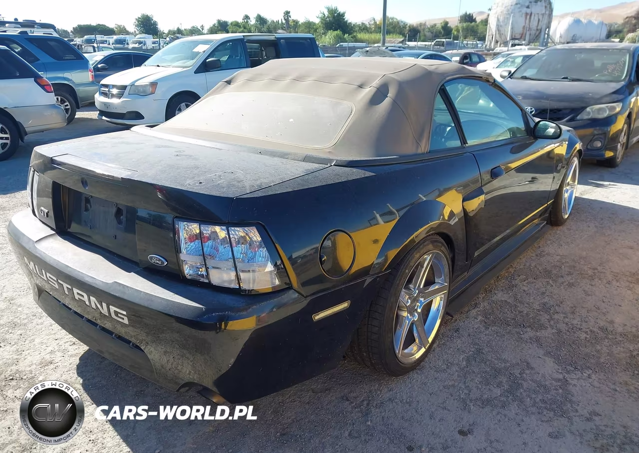 2003 Ford Mustang Gt VIN:1FAFP45X53F318223 - 4