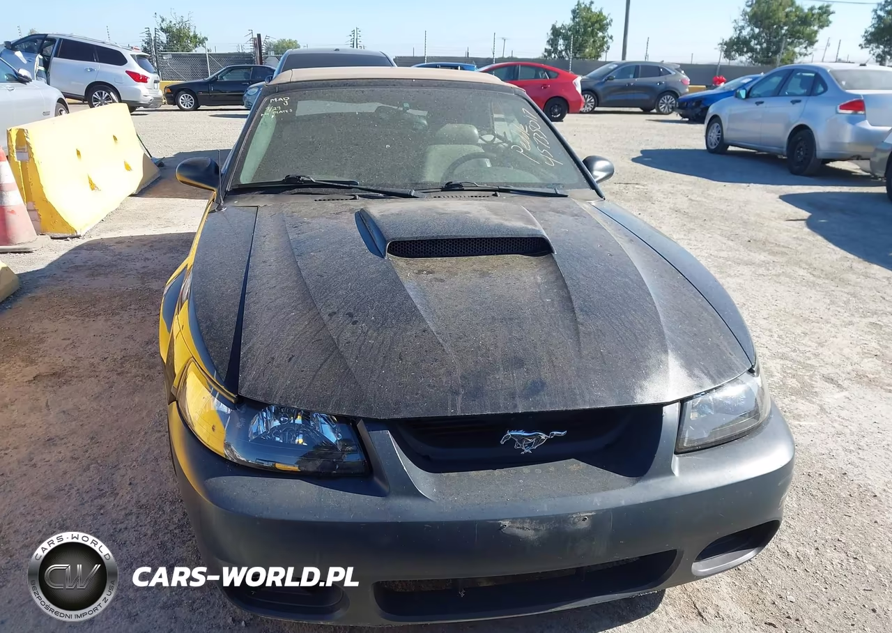 2003 Ford Mustang Gt VIN:1FAFP45X53F318223 - 6