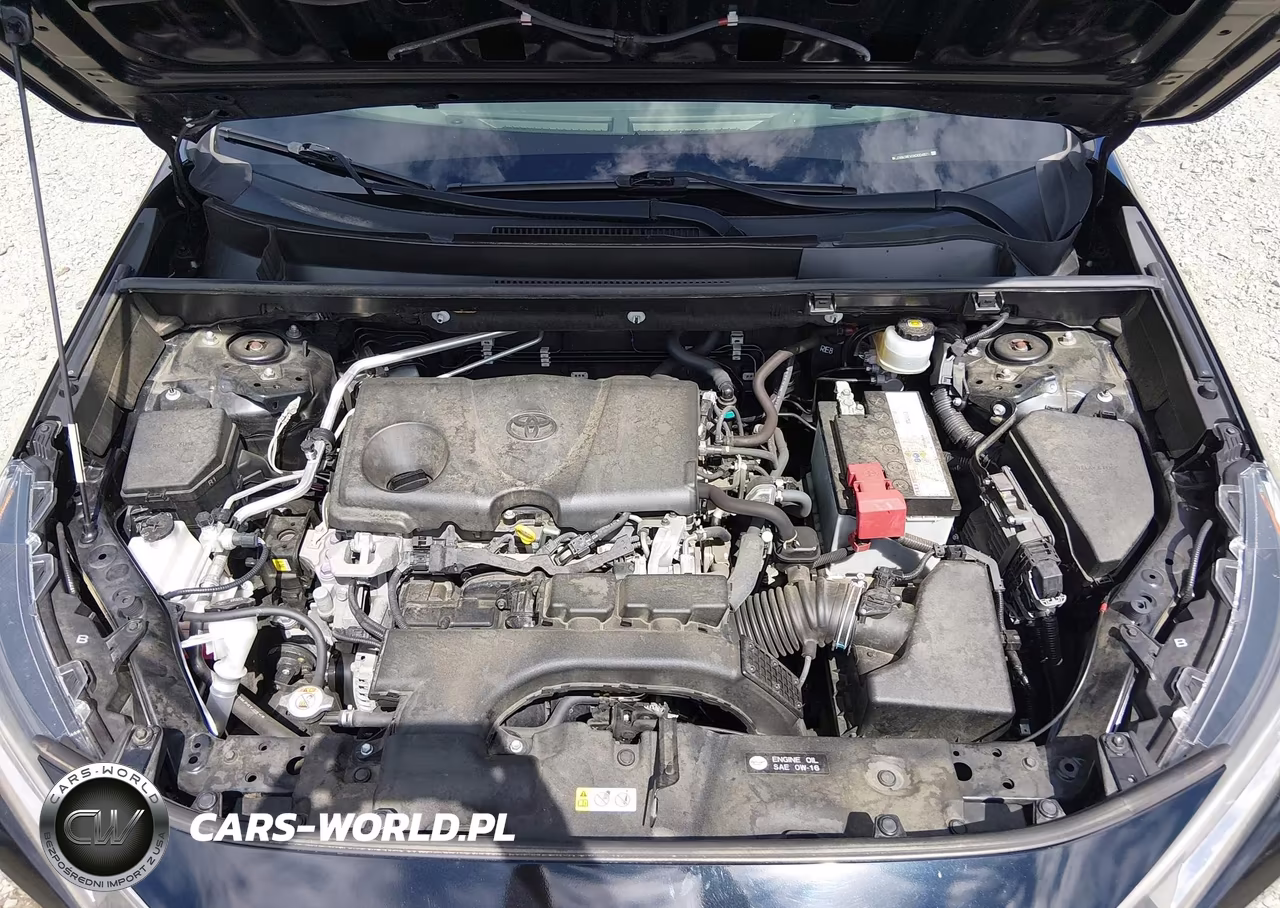 2019 Toyota Rav4 Xle Premium VIN:JTMA1RFV1KD004871 - 10