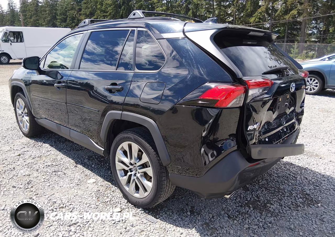 2019 Toyota Rav4 Xle Premium VIN:JTMA1RFV1KD004871 - 3
