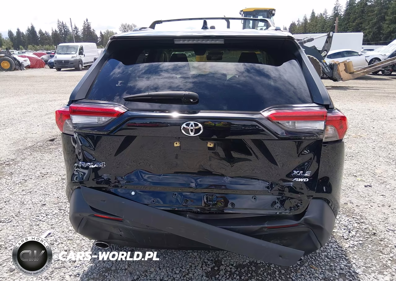 2019 Toyota Rav4 Xle Premium VIN:JTMA1RFV1KD004871 - 6