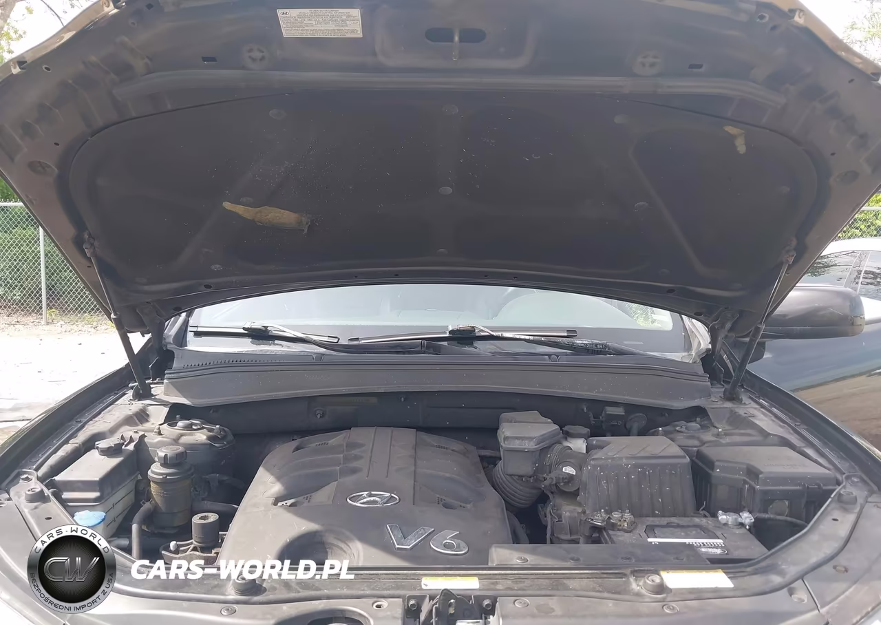 2007 Hyundai Santa Fe Limited-Se VIN:5NMSH73E47H116104 - 10
