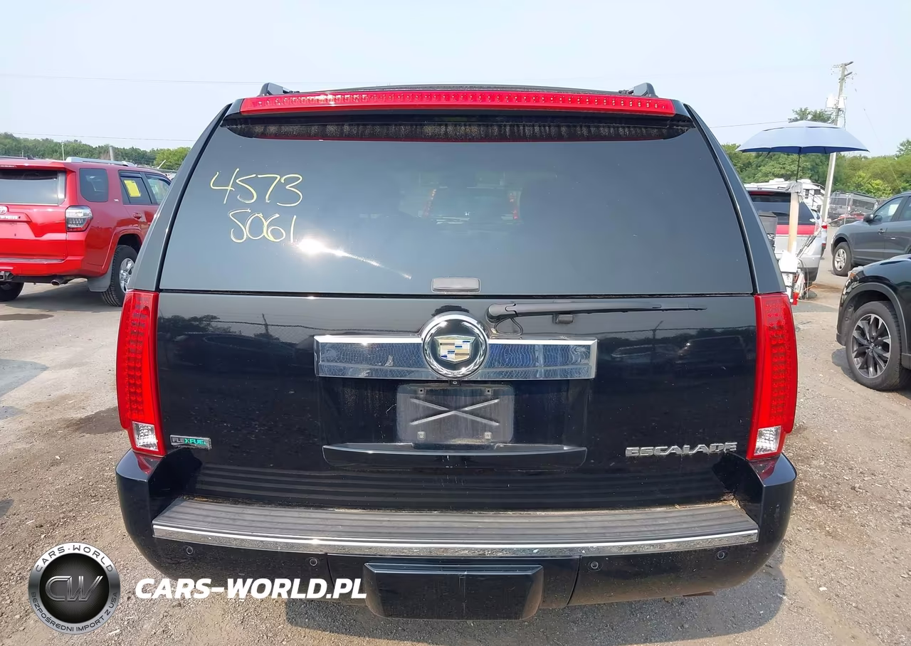 2009 Cadillac Escalade Standard VIN:1GYFK23229R293528 - 17