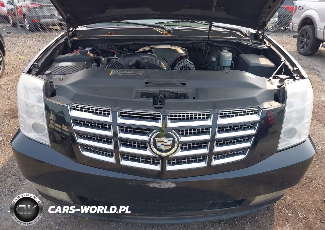 2009 Cadillac Escalade Standard VIN:1GYFK23229R293528 - 6
