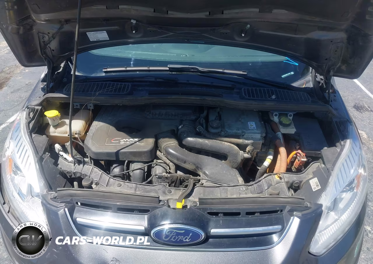 2017 Ford C-Max Energi Se VIN:1FADP5EU6HL114154 - 10