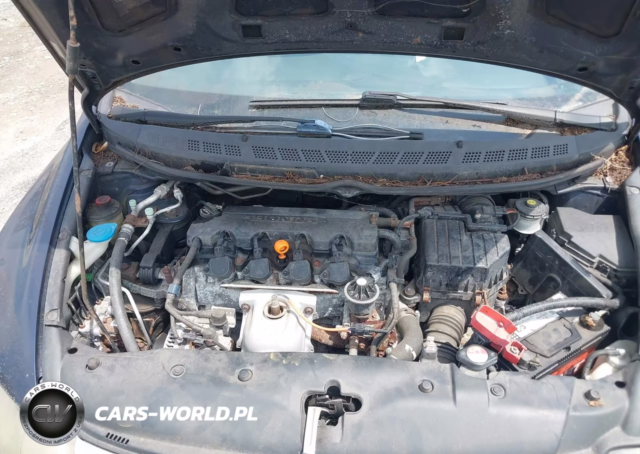 2010 Honda Civic Vp VIN:19XFA1F39AE041931 - 10