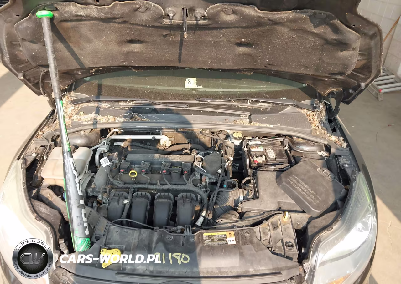 FORD FOCUS S VIN:1FADP3E26EL369076 - 10
