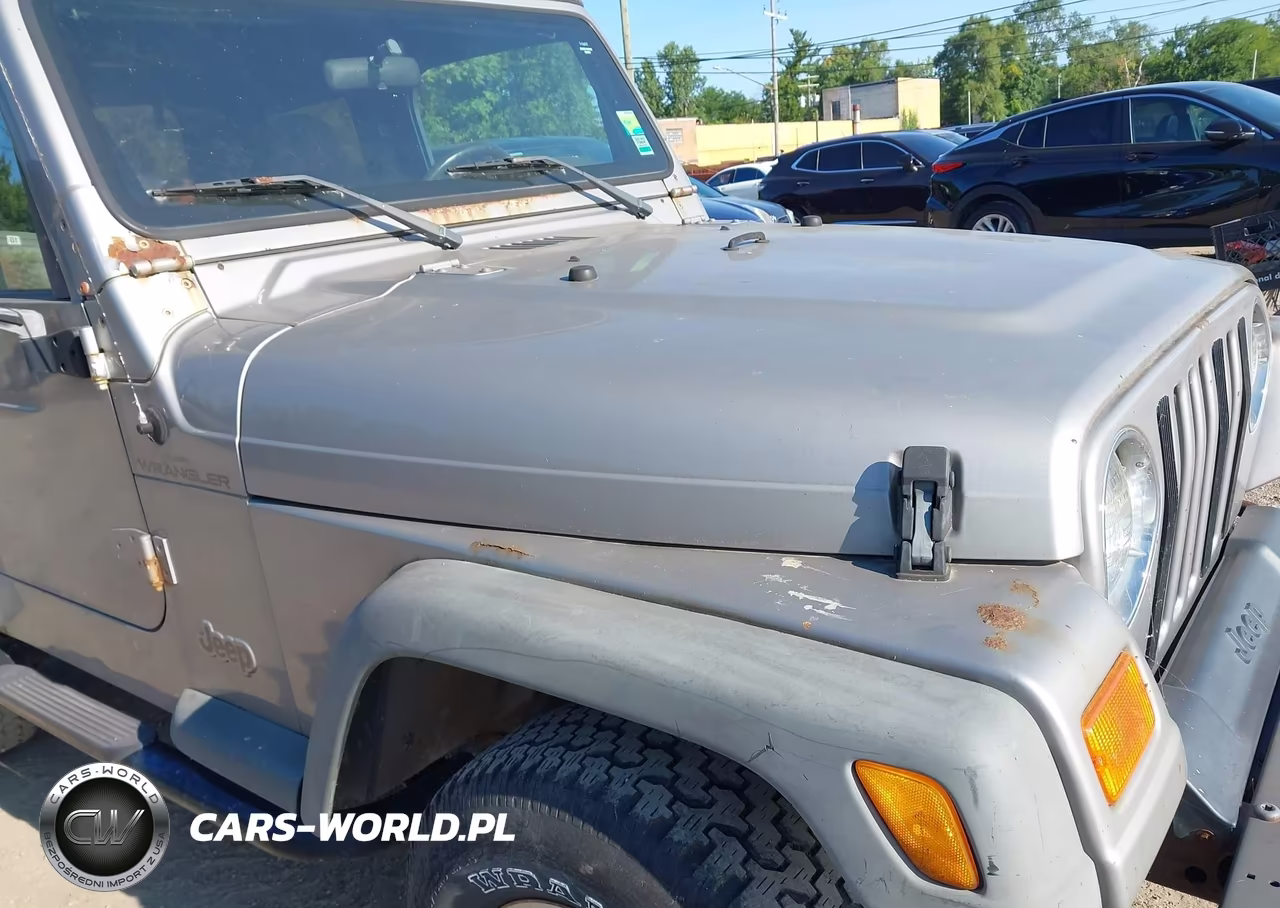 2000 Jeep Wrangler Se VIN:1J4FA29P5YP750767 - 12