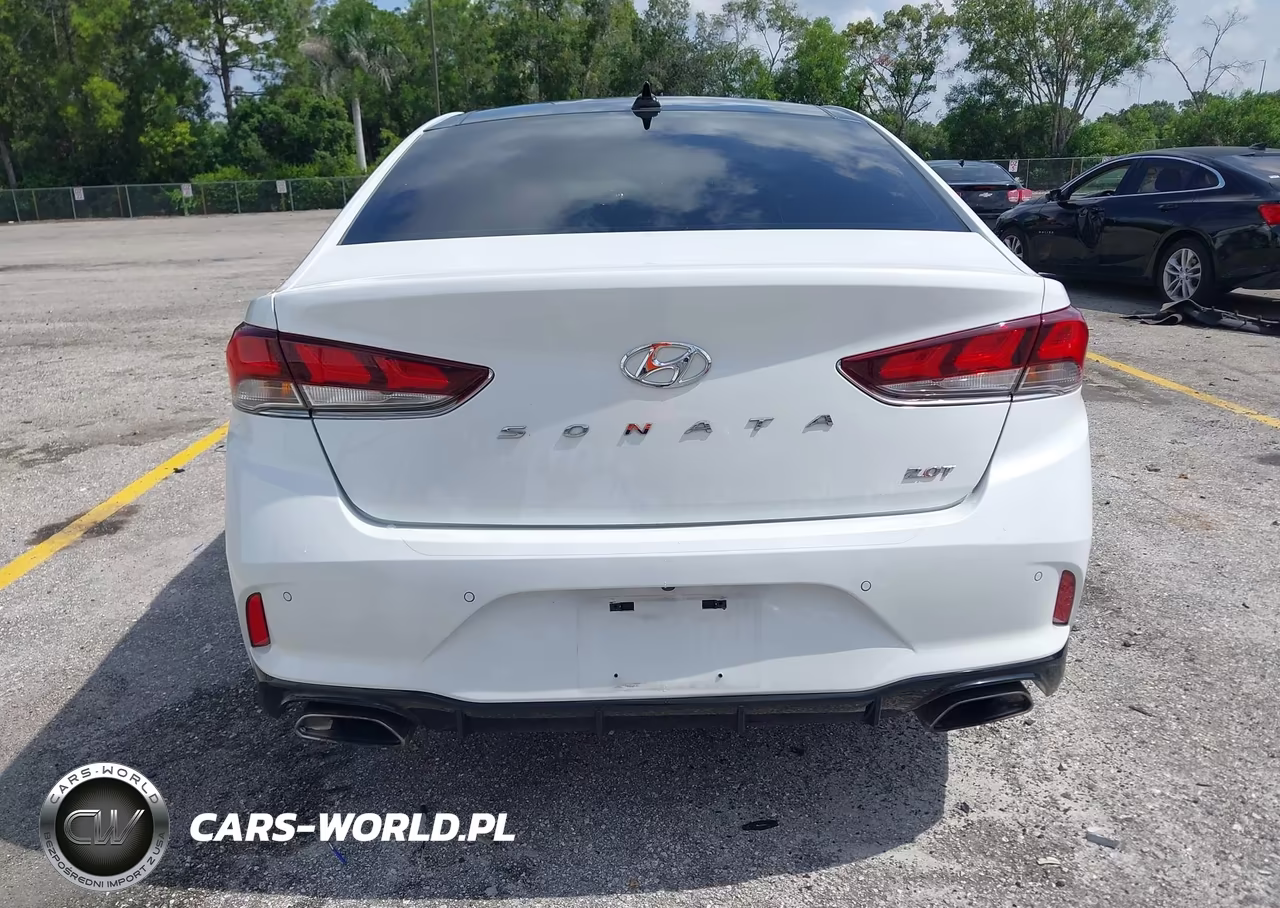 2019 Hyundai Sonata Limited 2.0T VIN:5NPE34AB5KH761343 - 16