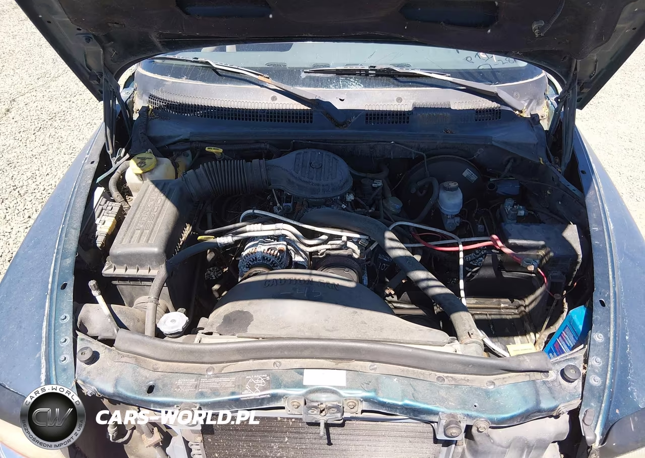 1997 Dodge Dakota Slt-Sport VIN:1B7GL23X2VS118587 - 10